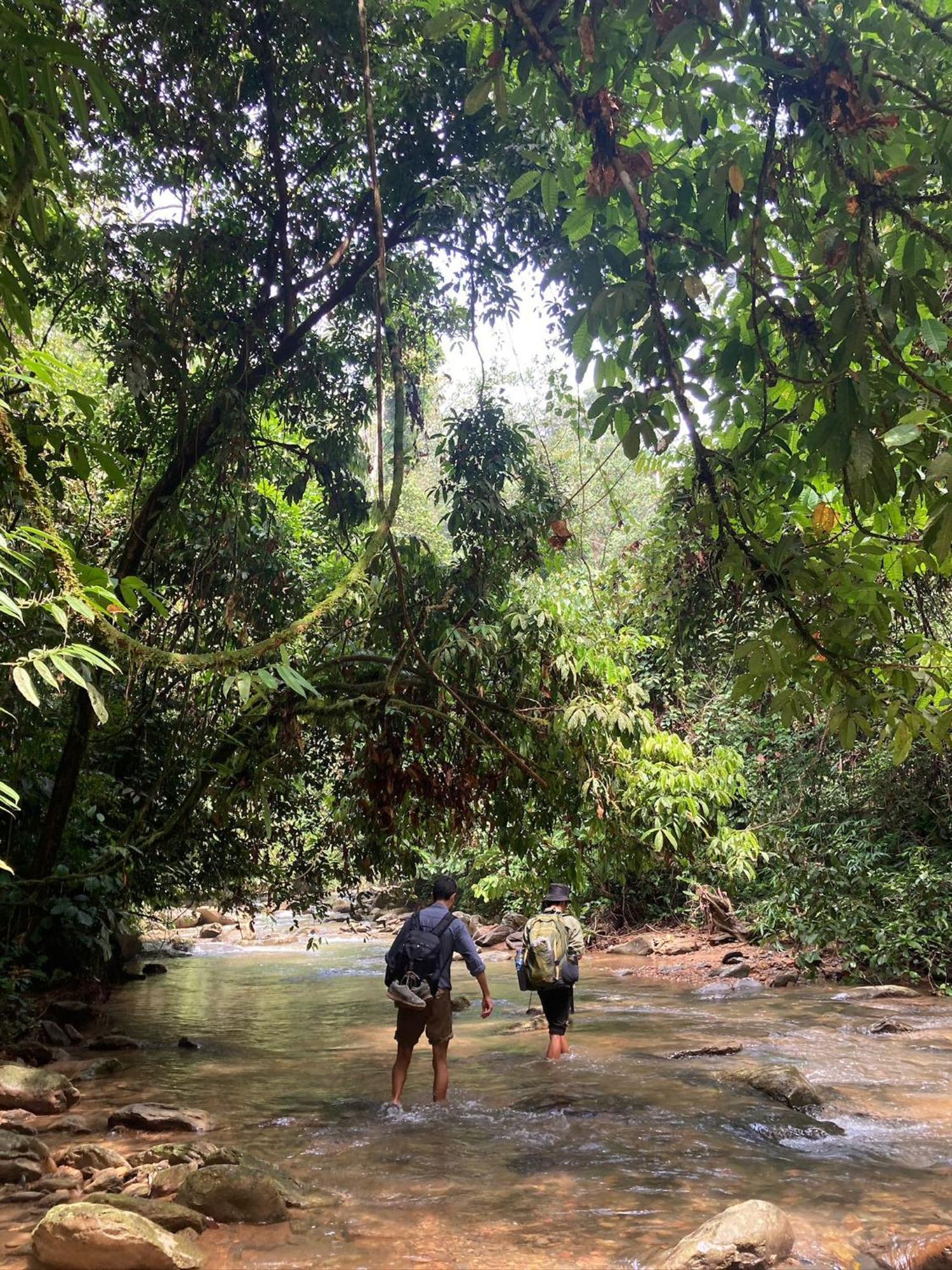 Eco Trekking Lodge, Bar & Jungle Tour'S Bukit Lawang Exterior foto