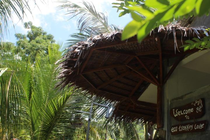 Eco Trekking Lodge, Bar & Jungle Tour'S Bukit Lawang Exterior foto